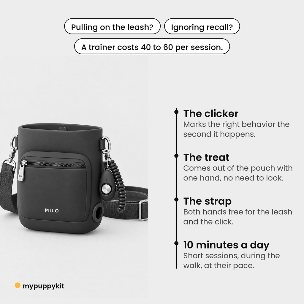 Product story card (01-probleme)