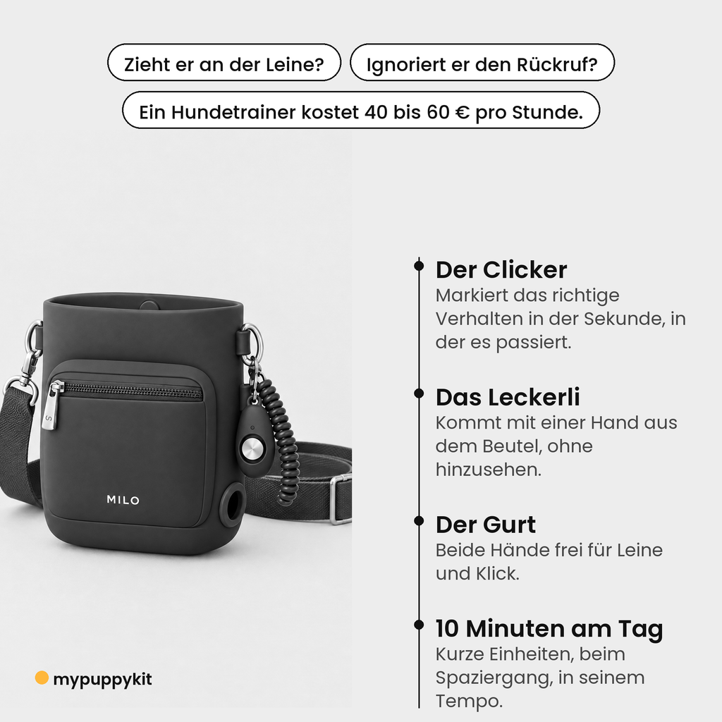 Produktkarte (01-probleme)