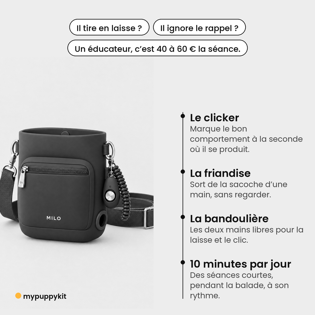 Kit Éducation : sacoche, clicker et bandoulière pour éduquer en balade